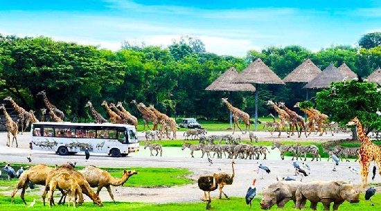 Vé vào cửa safari world bangkok
